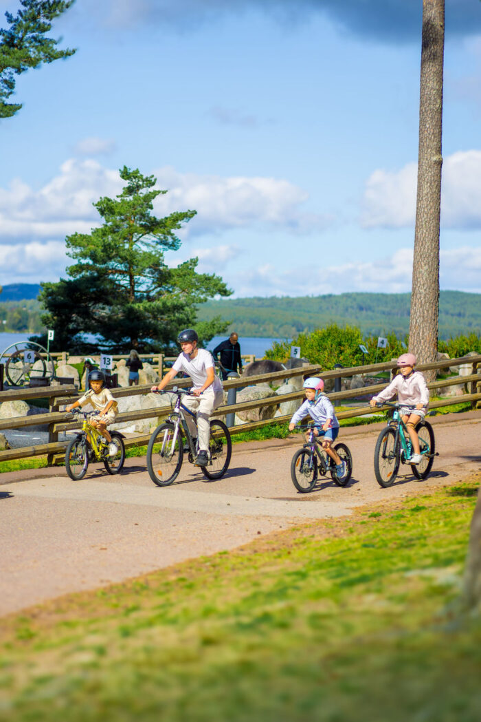 Leksand Resort